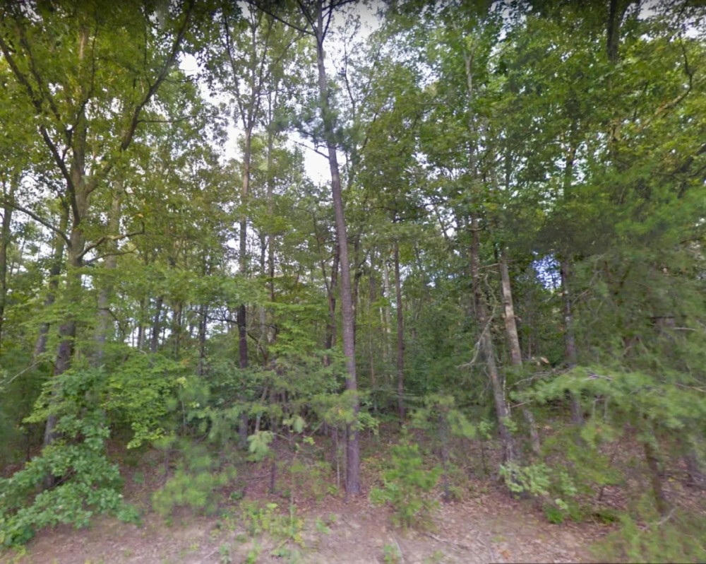 14.058 Acres - Unrestricted - Tazewell County VA featured image