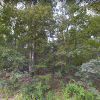 14.058 Acres - Unrestricted - Tazewell County VA images 2