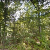 14.058 Acres - Unrestricted - Tazewell County VA images 4