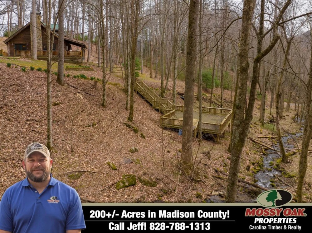 200 - PRIVATE Acres with Gorgeous Cabin featured image
