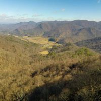 200 - PRIVATE Acres with Gorgeous Cabin images 4
