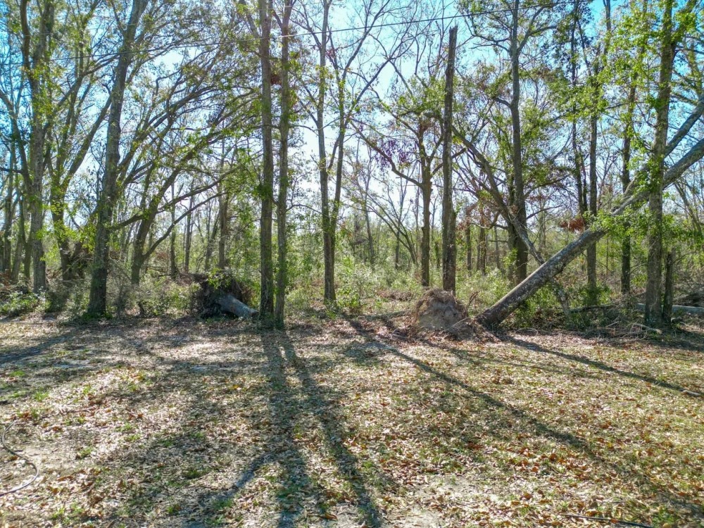 Vacant SW Hiawatha Trail Lee FL 32059 featured image