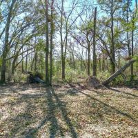 Vacant SW Hiawatha Trail Lee FL 32059