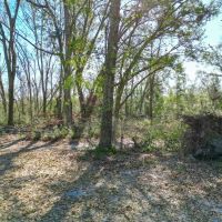 Vacant SW Hiawatha Trail Lee FL 32059 images 2
