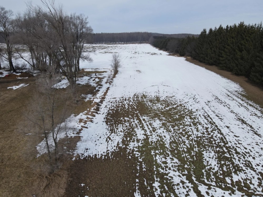Michigan hunting land for sale featured image