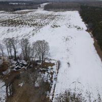 Michigan hunting land for sale images 2