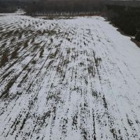 Michigan hunting land for sale images 3