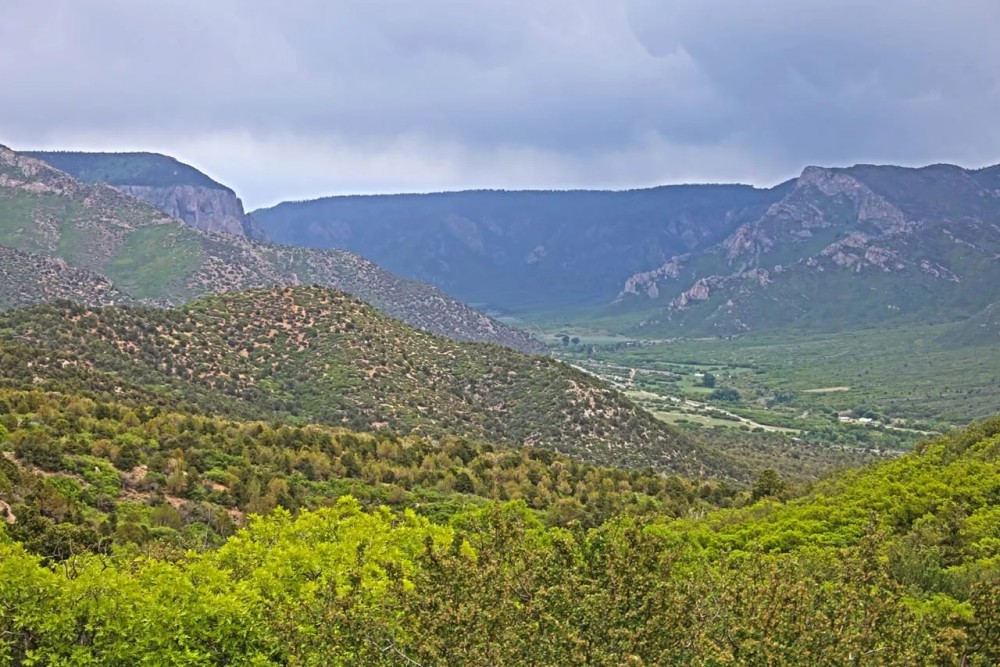 Bugling Bull Ranch featured image