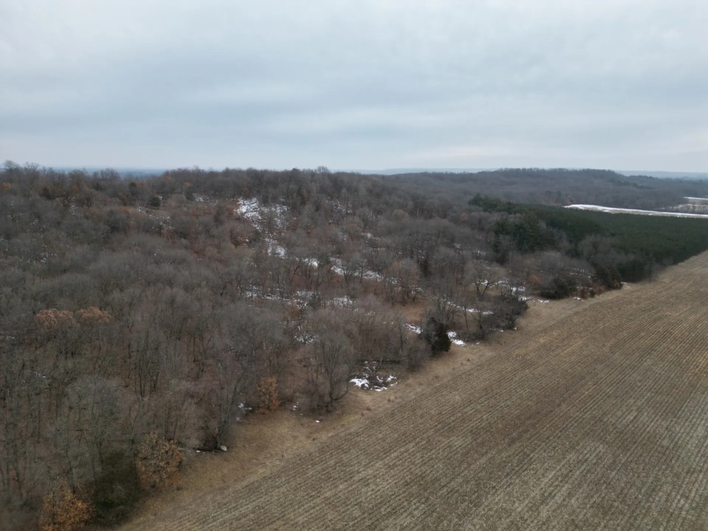 Truly a One of a Kind Hunting Parcel Marquette County WI featured image