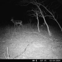 Truly a One of a Kind Hunting Parcel Marquette County WI images 4
