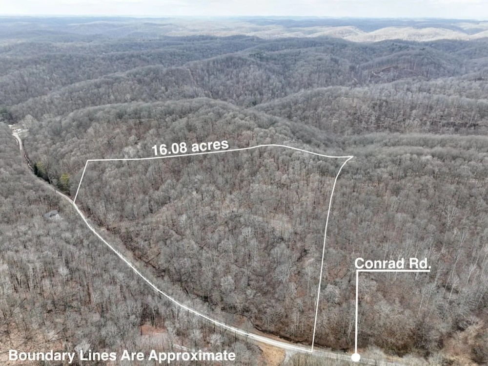 Auction - 16 Acres - Hocking County featured image