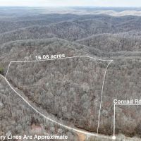 Auction - 16 Acres - Hocking County