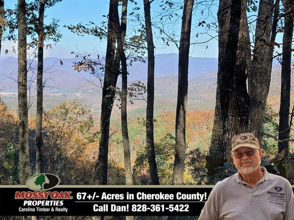 67.71 - Unrestricted Acres Views Creek Multiple Homesites featured image