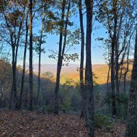 67.71 - Unrestricted Acres Views Creek Multiple Homesites images 2