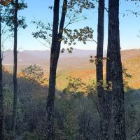 67.71 - Unrestricted Acres Views Creek Multiple Homesites images 5