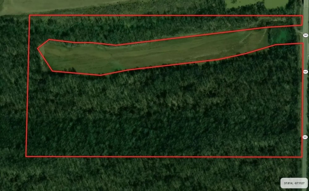 Land For Sale in Spencer County 64 Acres - featured image