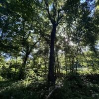 Land For Sale in Spencer County 64 Acres - images 2