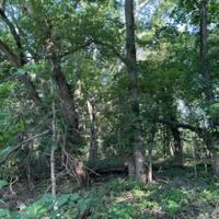 Land For Sale in Spencer County 64 Acres - images 3