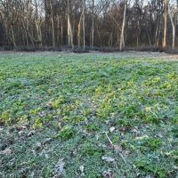 Land For Sale in Spencer County 64 Acres - images 4