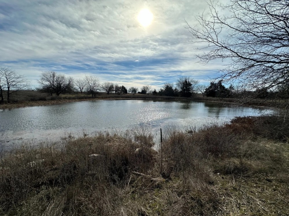 146 Acre Property with Pond Tillable Barn for Sale - Bourbon County featured image