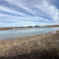 146 Acre Property with Pond Tillable Barn for Sale - Bourbon County images 4