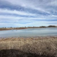 146 Acre Property with Pond Tillable Barn for Sale - Bourbon County images 5