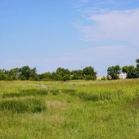 40 Acres of Hunting Land in Stroud Oklahoma images 2