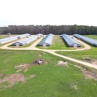 Poultry Farm for Sale in Mississippi w Acreage Natural Gas