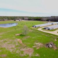 Poultry Farm for Sale in Mississippi w Acreage Natural Gas images 3