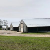 Poultry Farm for Sale in Mississippi w Acreage Natural Gas images 5