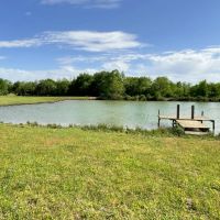 Shady Grove 90 Acres