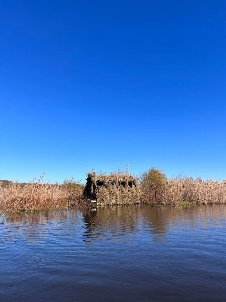 Great Duck Hunting and Fishing featured image