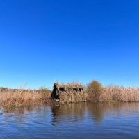 Great Duck Hunting and Fishing