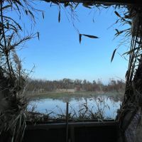 Great Duck Hunting and Fishing images 3