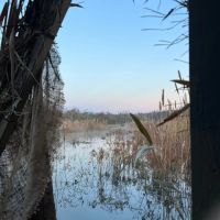 Great Duck Hunting and Fishing images 4