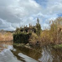 Great Duck Hunting and Fishing images 5