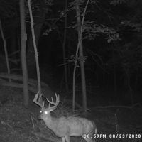 Coveted Real Estate for sale in Richland County WI images 3