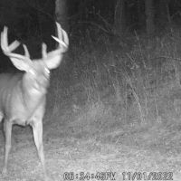 Coveted Real Estate for sale in Richland County WI images 4