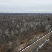 Michigan Hunting and Recreational Land for Sale