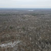 Michigan Hunting and Recreational Land for Sale images 3