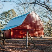 Gray s Mill Estate at Montauk images 3
