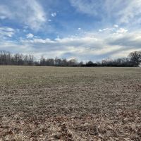 23 Acres In Poland