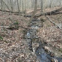 23 Acres In Poland images 2