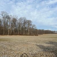 23 Acres In Poland images 3