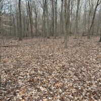 23 Acres In Poland images 5
