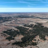 281 Acre Kansas Hunting Property for Sale Barber County