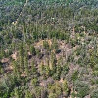 22 Acres Mariposa Beautiful Lot images 2