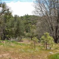 22 Acres Mariposa Beautiful Lot images 4