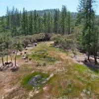 22 Acres Mariposa Beautiful Lot images 5