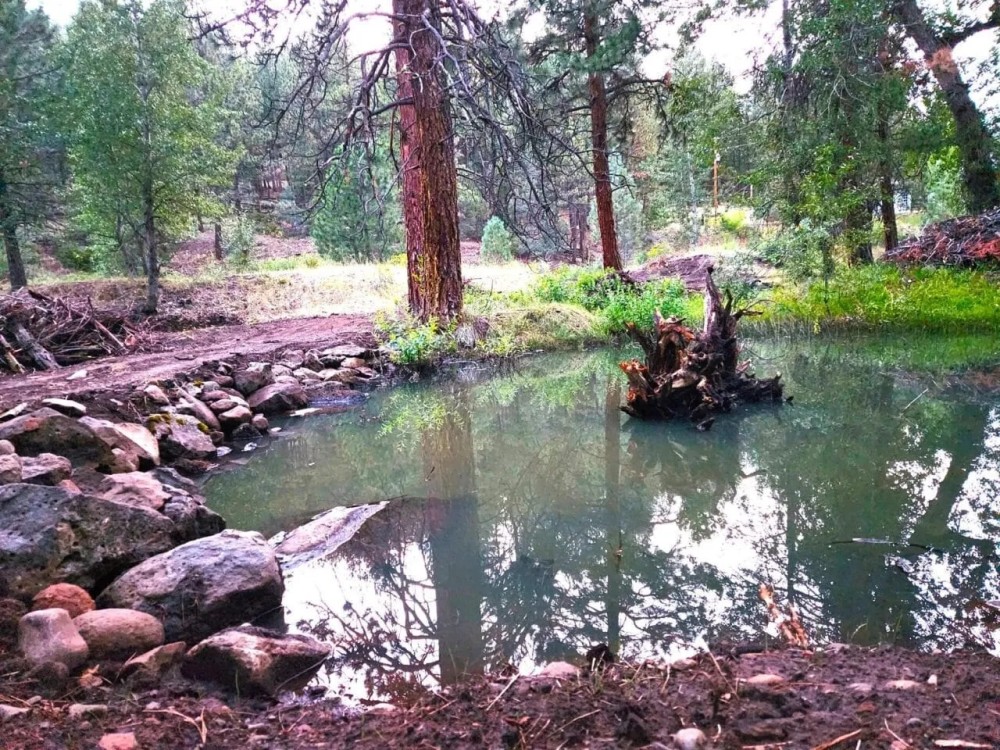 Rush Creek 150 featured image